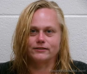 Mugshot of MICHELLE ELIZABETH WILSON booked in Henderson County, North Carolina on June 29, 2026