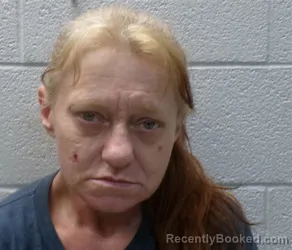 Mugshot of CHRISTY ANN ADKINS booked in Henderson County, North Carolina on June 18, 2026