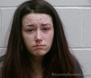 Mugshot of SYLVIA KAYE MCDOWELL-THOMAS booked in Henderson County, North Carolina on April 16, 2026