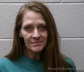 Mugshot of MISTY ADELLE TOLER booked in Henderson County, North Carolina on May 6, 2026