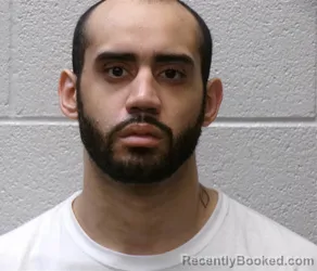 Mugshot of REGINALD ALAN LOOPER