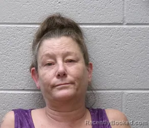 Mugshot of Jennifer Ruth Erwin booked in Henderson County, North Carolina on August 5, 2026