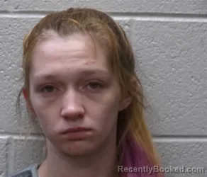 Mugshot of Casey Sue Mcminn booked in Henderson County, North Carolina on September 14, 2026