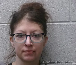 Mugshot of ERICA MARIE FLEMING