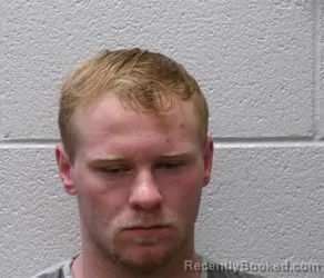 Mugshot of DAVIDSON TALMADGE MCCARSON