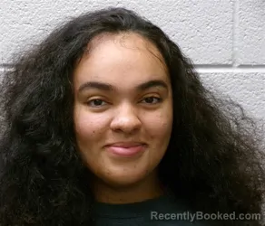 Mugshot of BRIONNA LANAY HARRISON booked in Henderson County, North Carolina on June 29, 2026