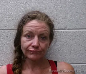Mugshot of AMBER LEIGH BUSSEY booked in Henderson County, North Carolina on July 2, 2026
