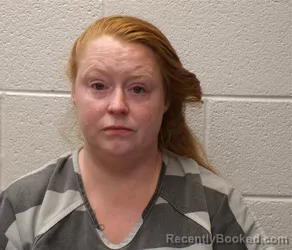 Mugshot of CYNTHIA LEEANN JOHNSON booked in Henderson County, North Carolina on April 22, 2026
