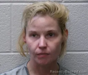 Mugshot of Pamela Diane Funk booked in Henderson County, North Carolina on August 28, 2026