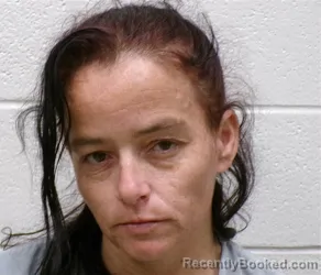 Mugshot of SARAH MAMIE NICOLE STANFORD