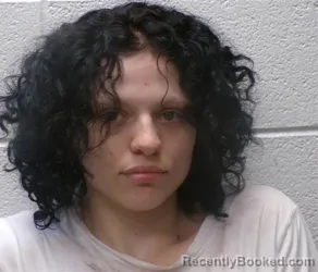 Mugshot of Madison Ciera Penix booked in Henderson County, North Carolina on August 21, 2026