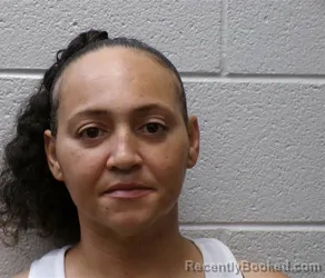 Mugshot of STEPHANIE DIANE BROWN booked in Henderson County, North Carolina on July 13, 2026
