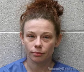 Mugshot of ARIEL MARIAH STOLL booked in Henderson County, North Carolina on July 14, 2026