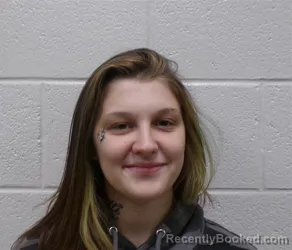 Mugshot of SARAH ELIZABETH PHILLIPS booked in Henderson County, North Carolina on April 22, 2026