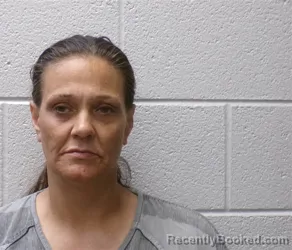 Mugshot of SANDRA AYLOTT booked in Henderson County, North Carolina on August 2, 2026