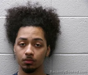 Mugshot of DAVID EARL HOLLEY