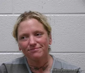 Mugshot of Megan Whitney Robbins booked in Henderson County, North Carolina on August 25, 2026