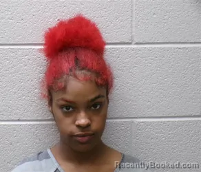 Mugshot of BRENDA BERNICE SMITH