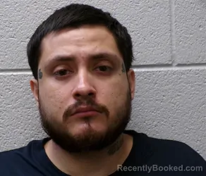 Mugshot of RICARDO CARLOS HERNANDEZ