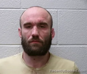 Mugshot of ADAM DEHART