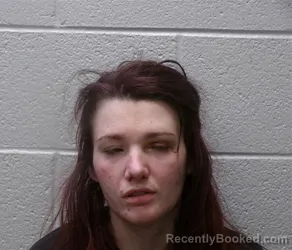 Mugshot of LORYN SAVANA LORBER