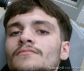 Mugshot of DYLAN ALEXANDER WALKER