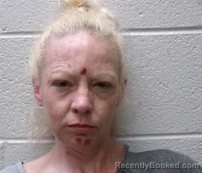 Mugshot of ASHLEY LASHEA OVERCASH