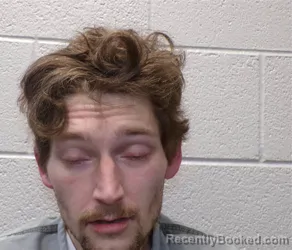 Mugshot of WILLIAM LYNK RAY