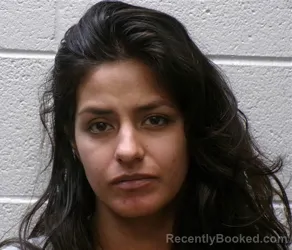 Mugshot of YOLANDA CARDENAS booked in Henderson County, North Carolina on March 30, 2026