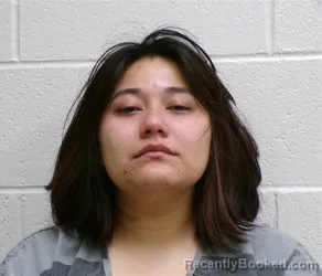 Mugshot of HEILIN ANDREA RAMIREZ booked in Henderson County, North Carolina on April 5, 2026