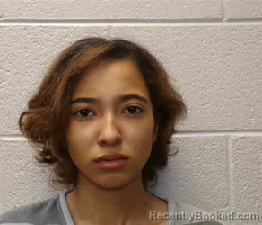 Mugshot of SHEILAH VICTORIA TONG booked in Henderson County, North Carolina on April 28, 2026