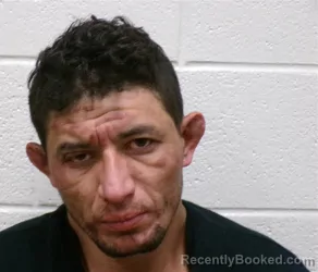 Mugshot of ALSIDES ORTEGA ORELLANA booked in Henderson County, North Carolina on May 2, 2026