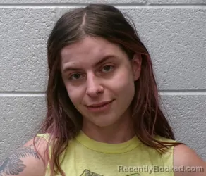 Mugshot of MADISON STEPHENS booked in Henderson County, North Carolina on May 4, 2026