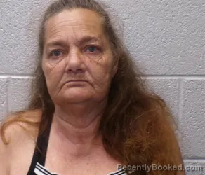 Mugshot of DONNA THOMPSON LOWE booked in Henderson County, North Carolina on May 10, 2026