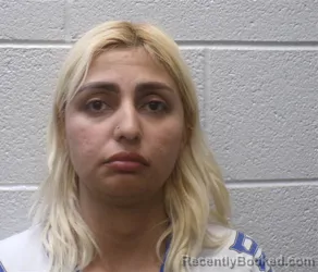 Mugshot of YESSICA LORENA LOSADA LOSADA booked in Henderson County, North Carolina on May 14, 2026