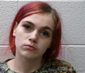 Mugshot of ASHLEY NICOLE TOLSON booked in Henderson County, North Carolina on May 21, 2026