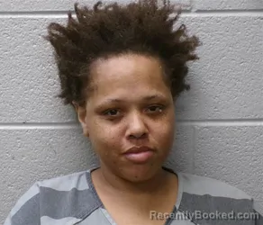 Mugshot of VANESSA ERWIN booked in Henderson County, North Carolina on May 21, 2026