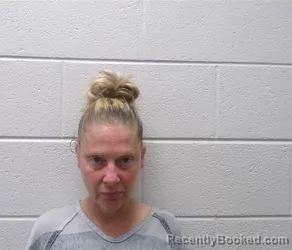 Mugshot of TARA ELIZABETH HAMILTON booked in Henderson County, North Carolina on July 9, 2026