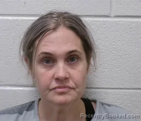 Mugshot of CAROLYN HINCHEY booked in Henderson County, North Carolina on June 18, 2026