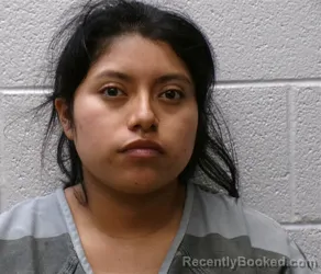 Mugshot of DAMARIS RAQUEL PEREZ-LOPEZ booked in Henderson County, North Carolina on June 19, 2026