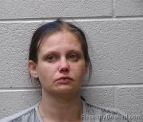 Mugshot of SARAH LEE ANN GIBBS booked in Henderson County, North Carolina on June 21, 2026