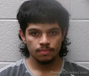 Mugshot of FERNANDO BAUTISTA booked in Henderson County, North Carolina on June 24, 2026