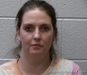 Mugshot of MORGAN MCKEENA SAPPINGTON booked in Henderson County, North Carolina on June 25, 2026