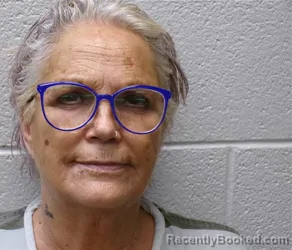 Mugshot of SUSAN HARVEY MARTIN booked in Henderson County, North Carolina on June 26, 2026