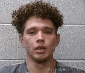 Mugshot of LEVY WHITE booked in Henderson County, North Carolina on July 3, 2026