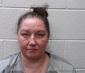 Mugshot of TONI LACHELLE DAVIDSON booked in Henderson County, North Carolina on July 5, 2026