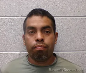 Mugshot of ELROY ANTONIO SILVESTRE booked in Henderson County, North Carolina on July 9, 2026