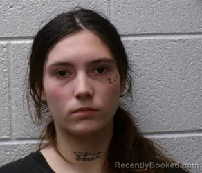 Mugshot of ANNABELLE MARIE MURO booked in Henderson County, North Carolina on July 11, 2026
