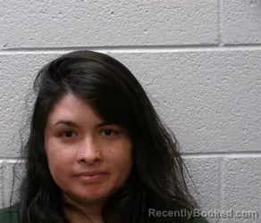 Mugshot of PAMELA ALEJANDRA ARAYA TORRES booked in Henderson County, North Carolina on July 14, 2026