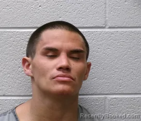 Mugshot of TAYLOR JAMES WONG booked in Henderson County, North Carolina on July 17, 2026